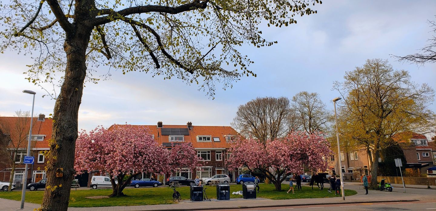 Photo 40 of Zaanenlaan 25