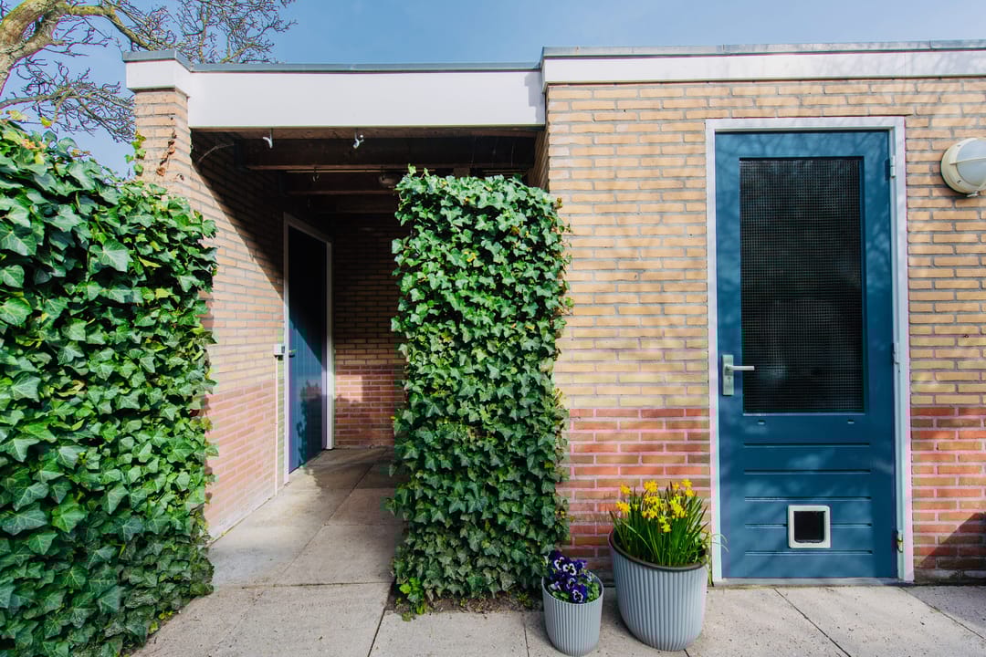 Foto 47 van Philips Vingboonsstraat 35