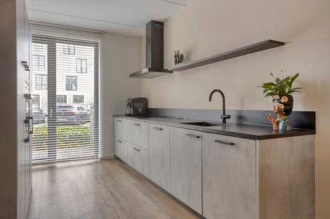 Douglashout 65 tertiary image