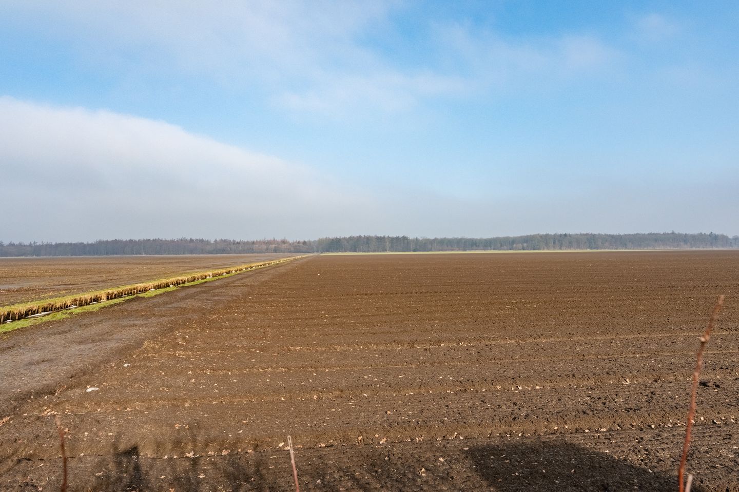 Photo 5 of Wellerzandweg 6-C