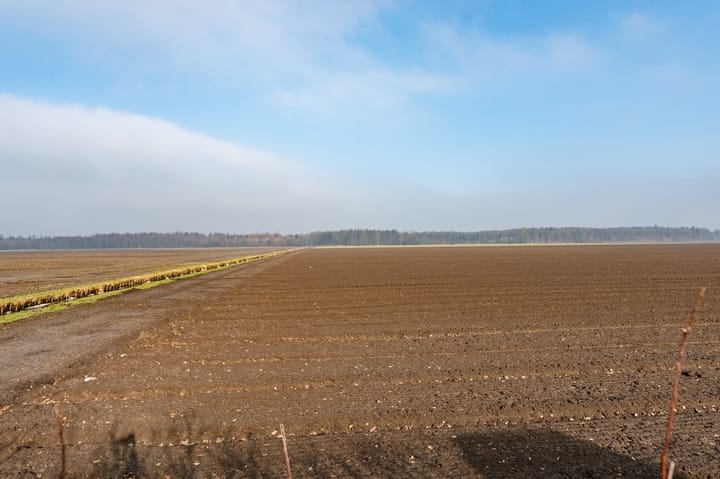 Foto 5 van Wellerzandweg 6-C