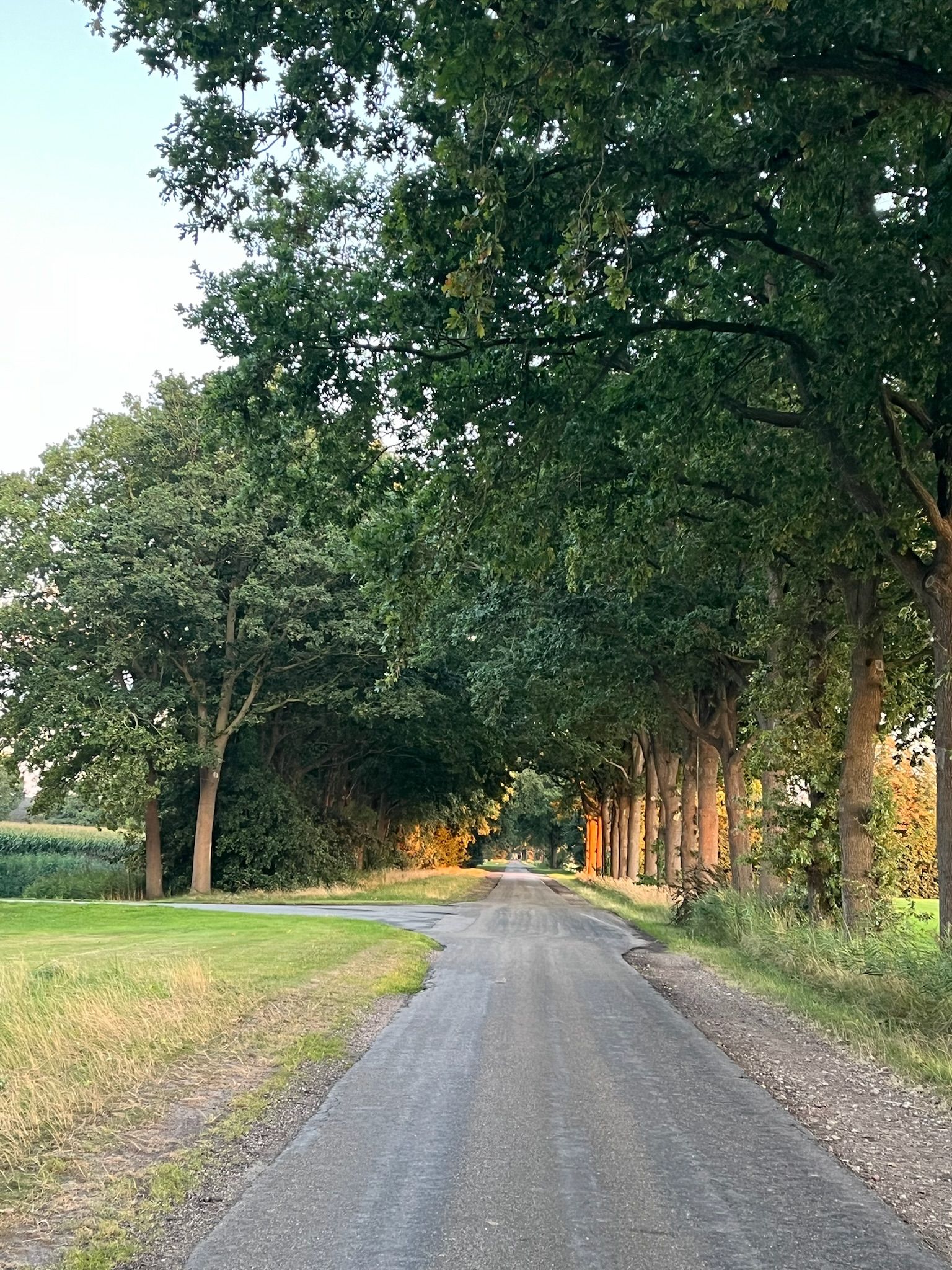 Photo 6 of Wellerzandweg 6-C