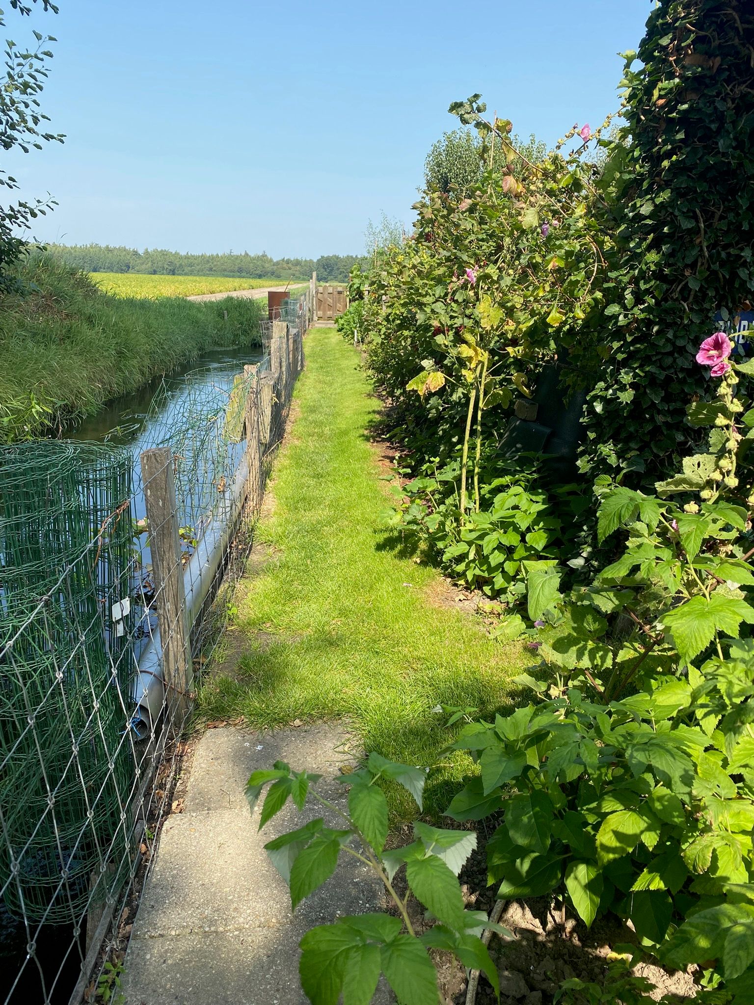 Photo 63 of Wellerzandweg 6-C