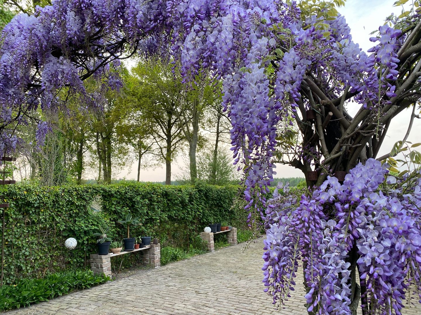 Photo 65 of Wellerzandweg 6-C