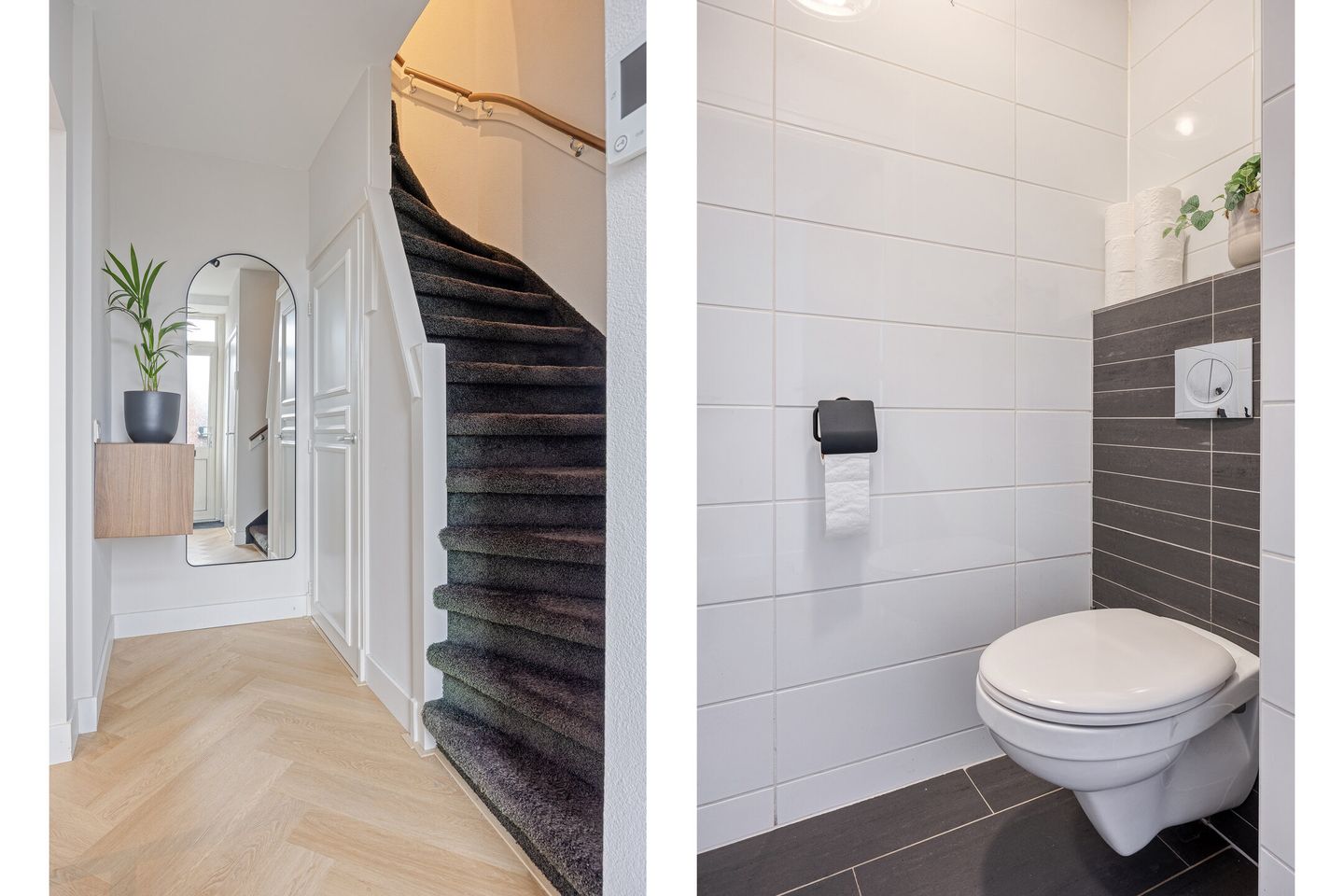 Photo 5 of Dillenburg 12