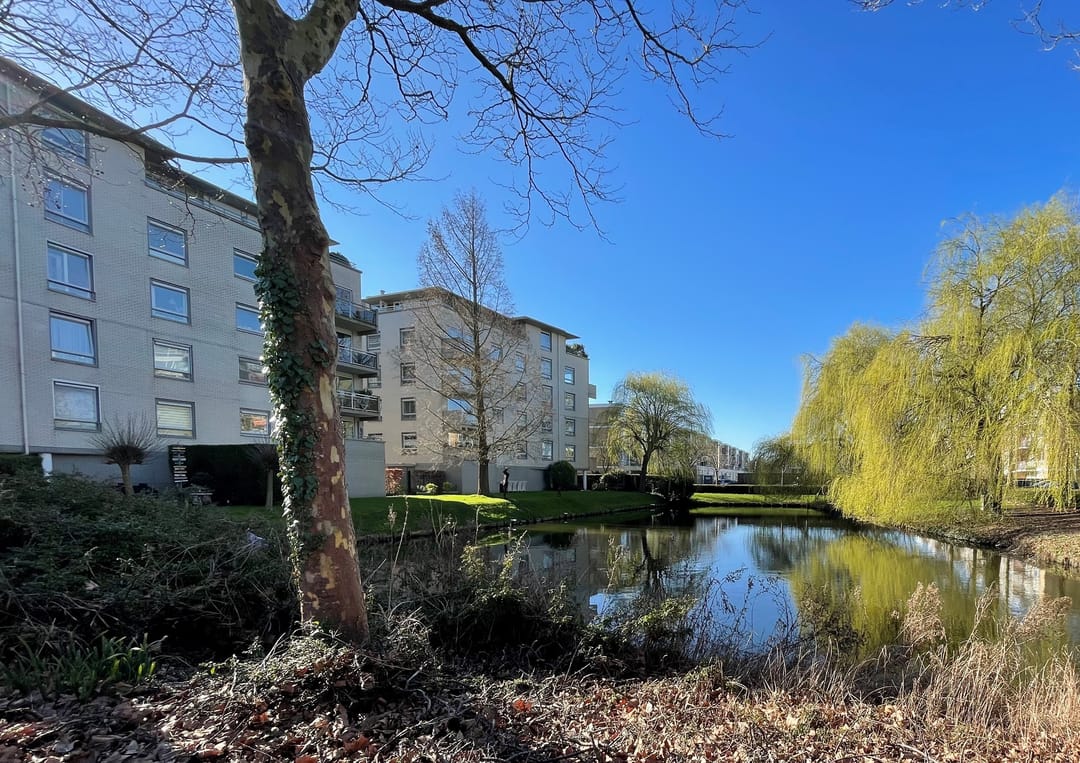 Foto 26 van Sloterweg 81-12