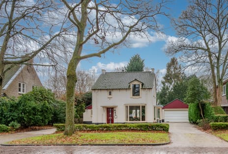 Van Reenenpark thumbnail