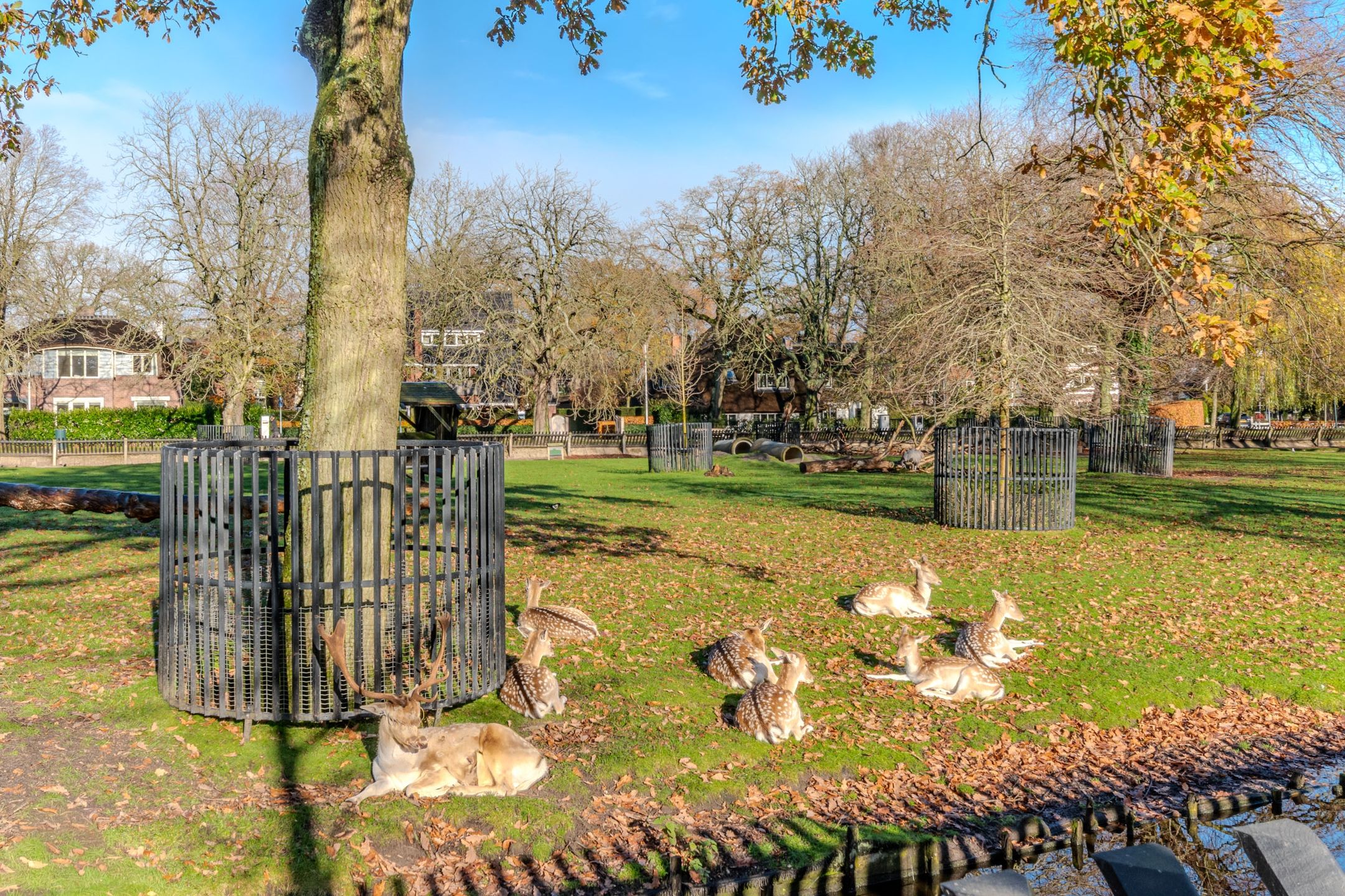 Photo 27 of Van Reenenpark 25