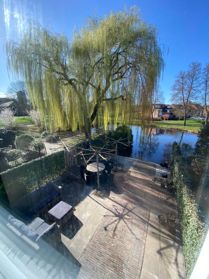 Foto 2 van Karmozijnbes 18