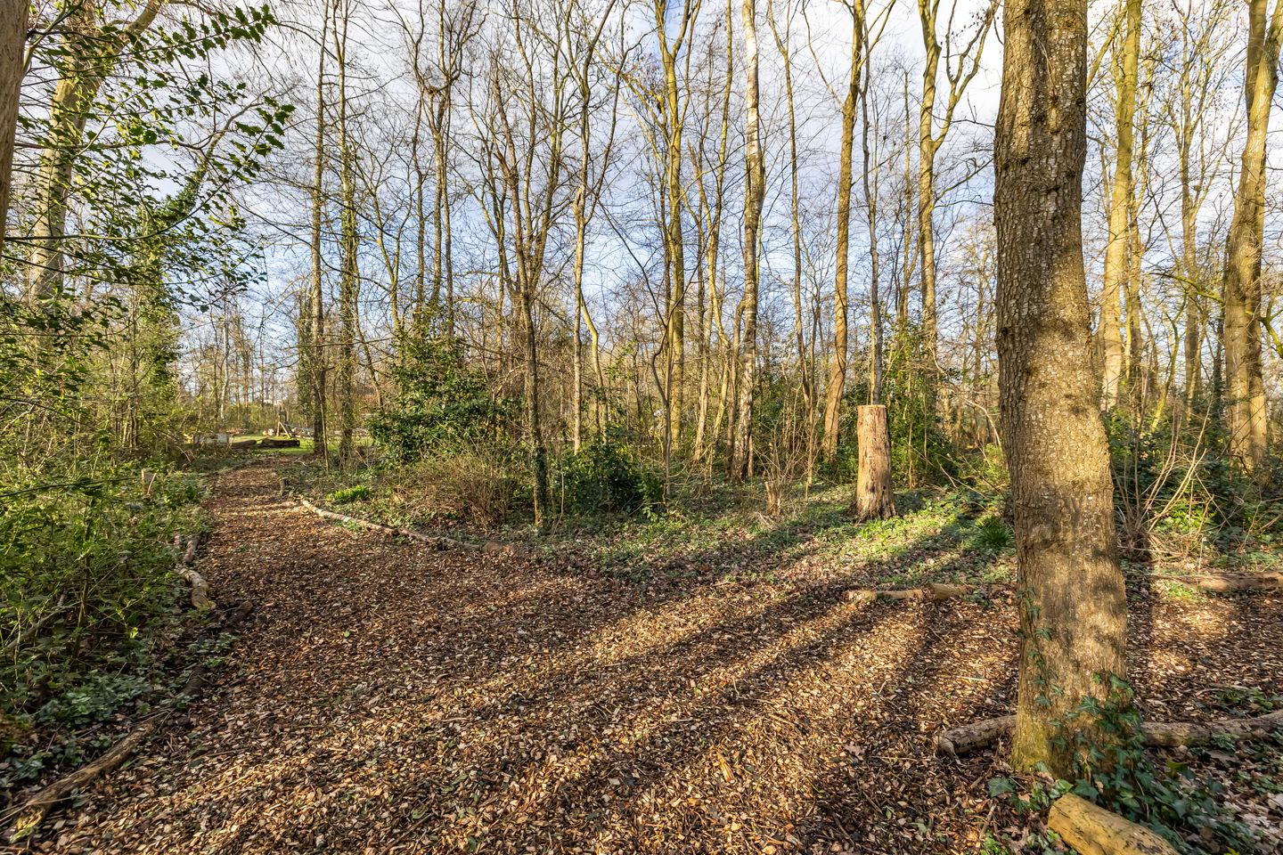 Foto 29 van Berkenlaan 6