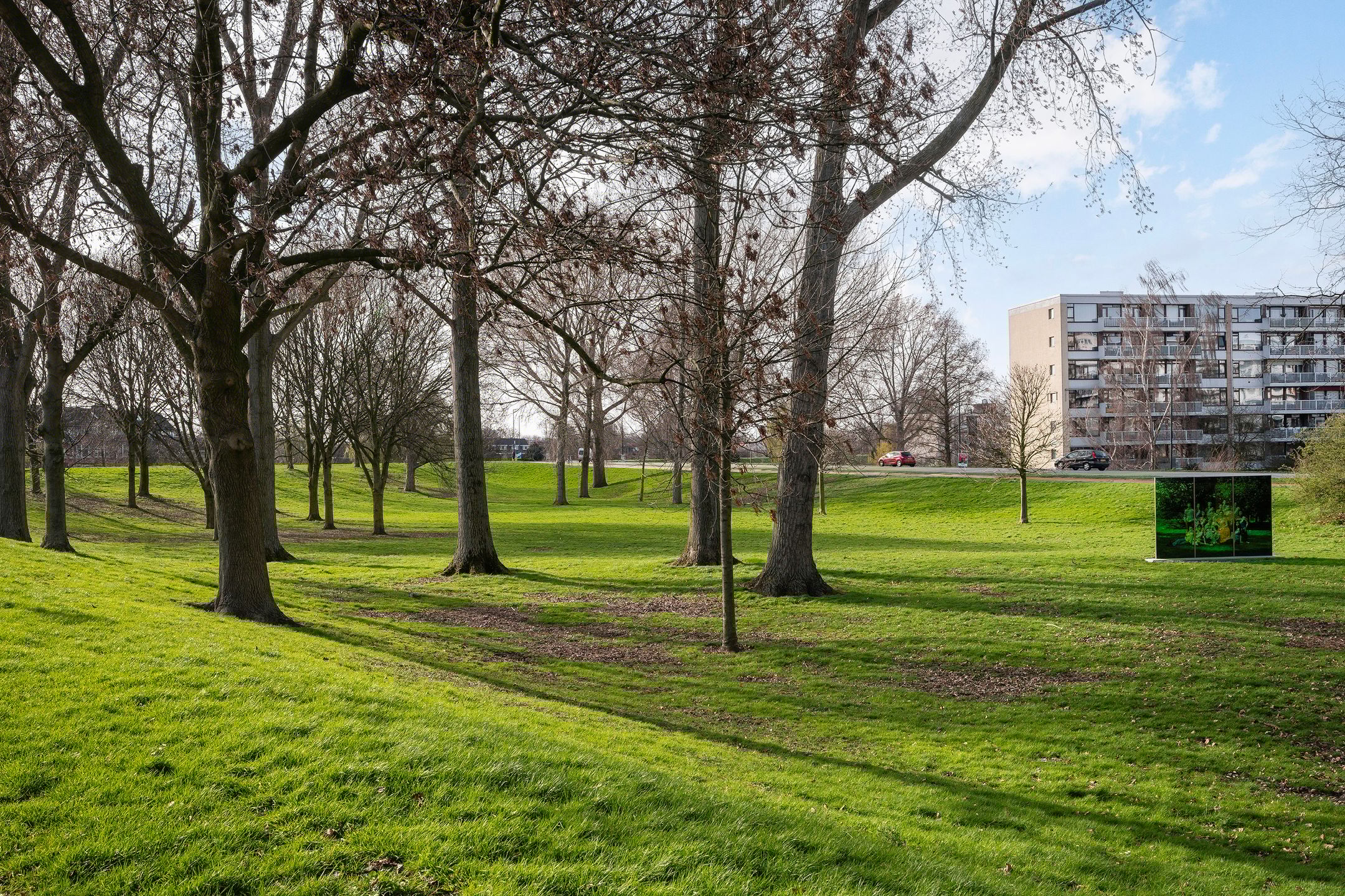 Foto 24 van Schiedamseweg 244-C