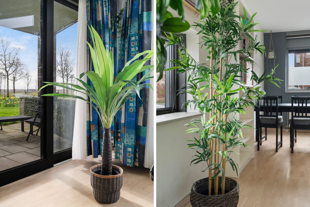 Foto 26 van Heinsiushof 2