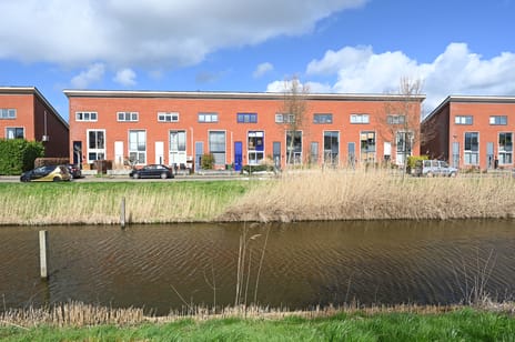 Zwarte Specht 44 secondary image