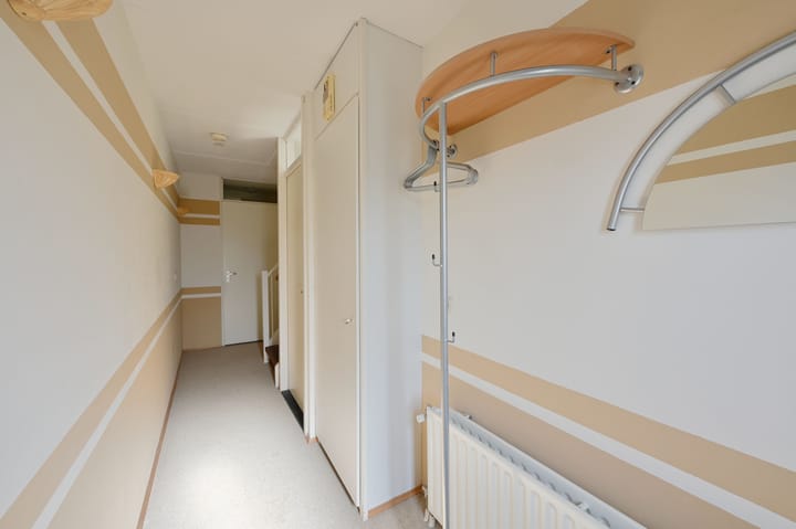 Foto 4 van Zwarte Specht 44