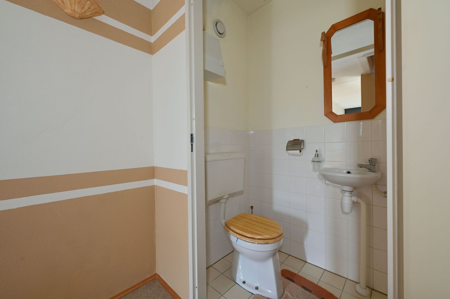 Foto 5 van Zwarte Specht 44