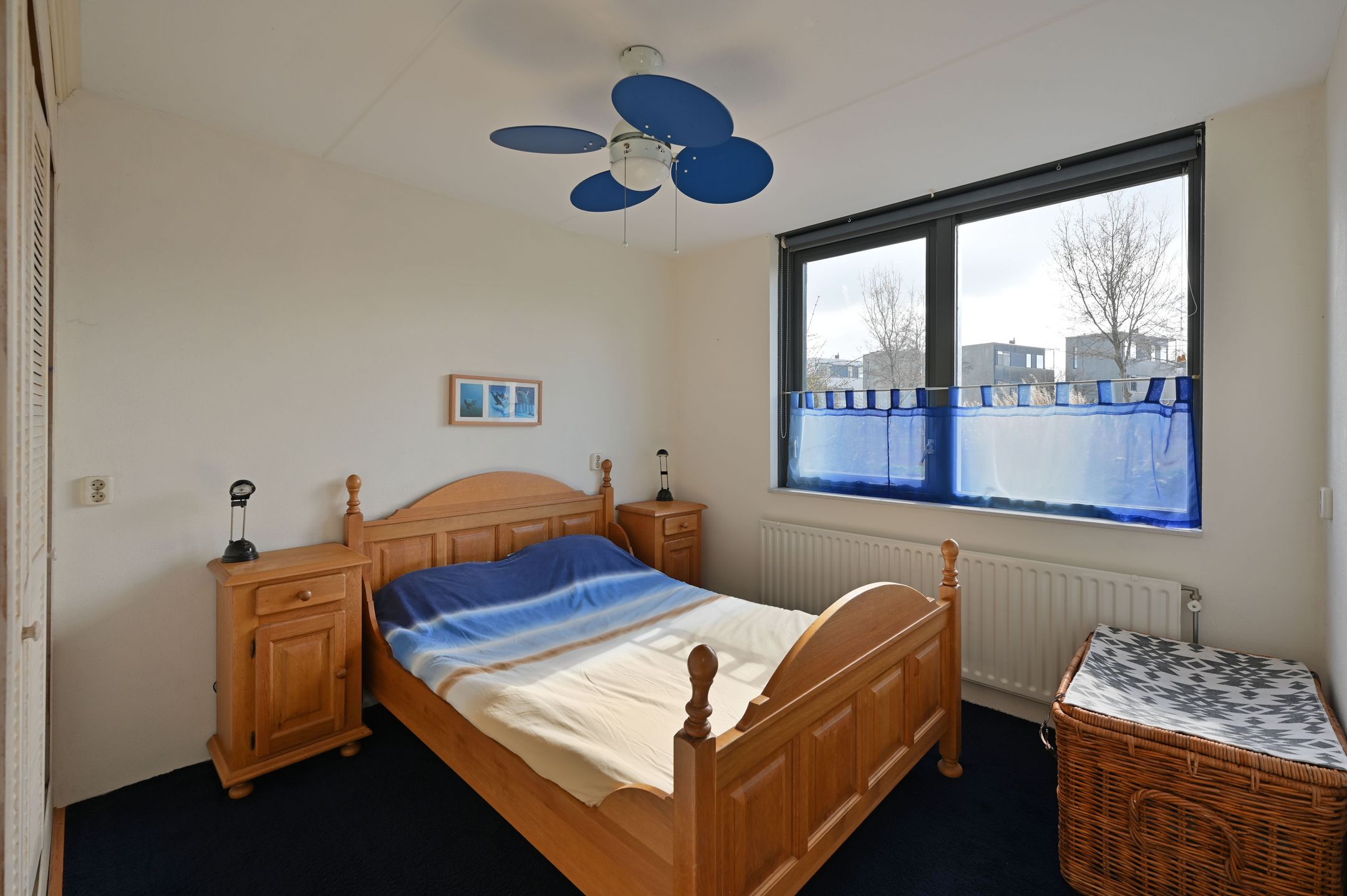 Foto 6 van Zwarte Specht 44