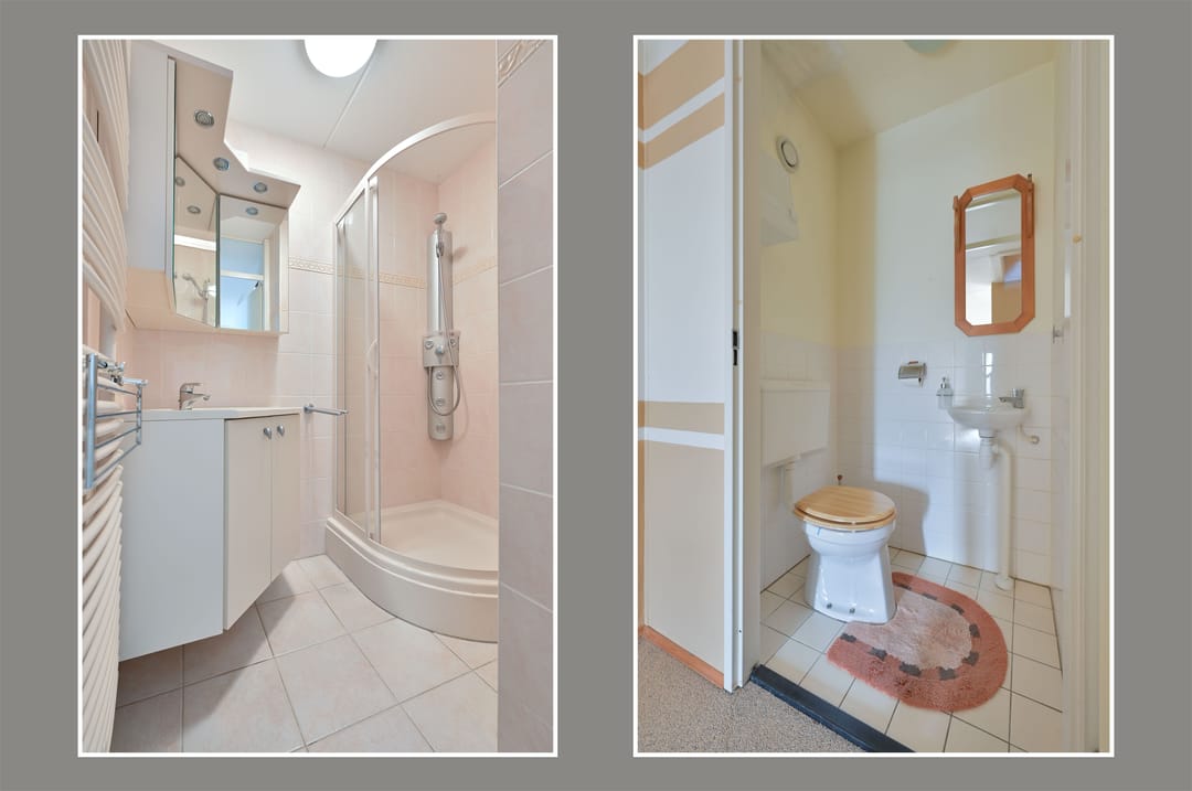 Foto 11 van Zwarte Specht 44