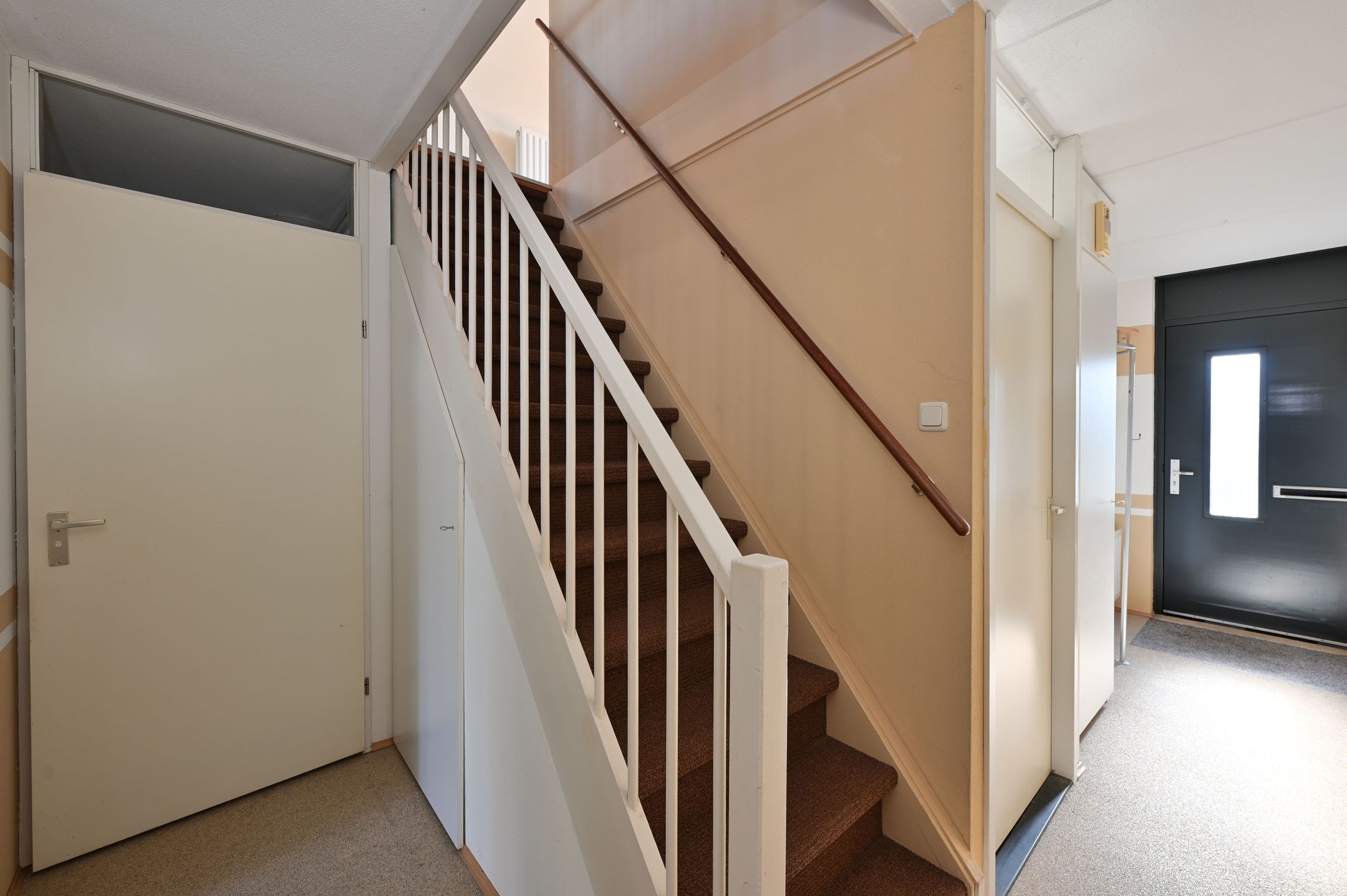 Foto 12 van Zwarte Specht 44