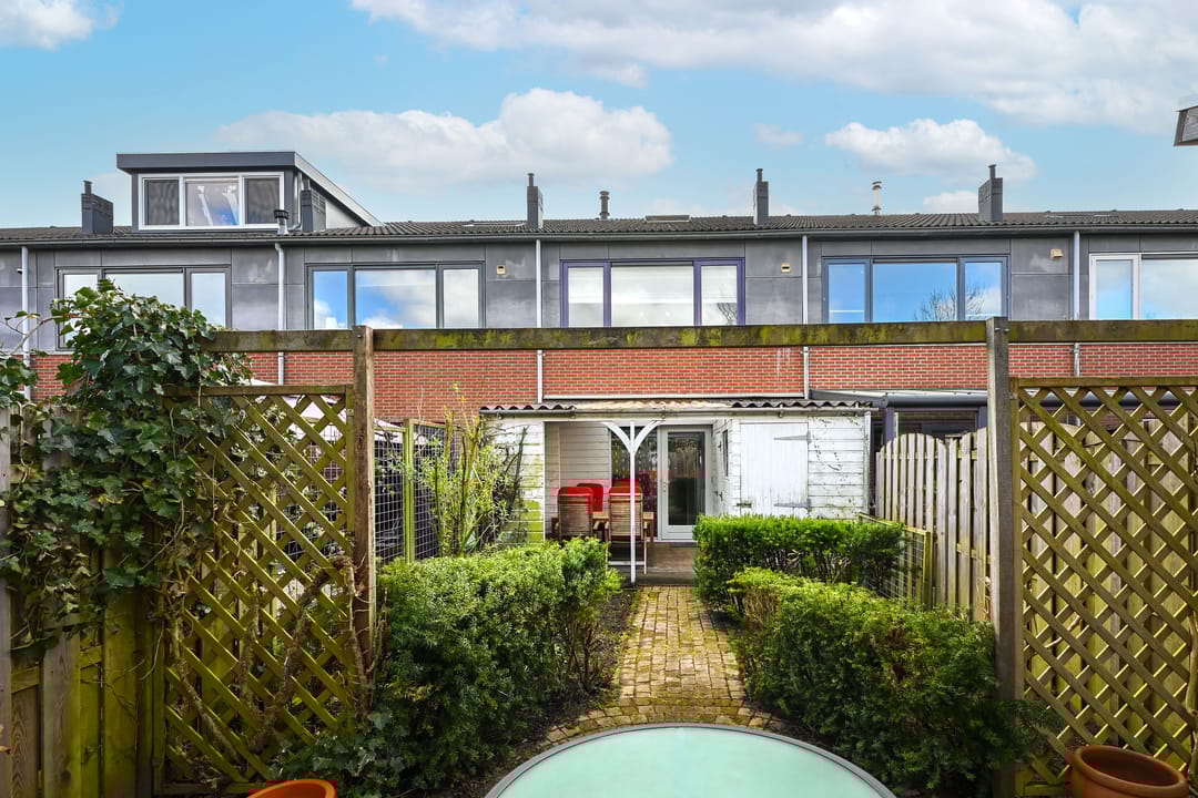 Foto 23 van Zwarte Specht 44