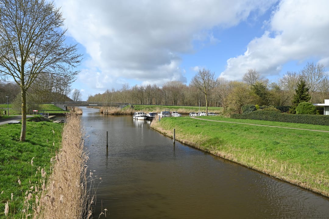 Foto 31 van Zwarte Specht 44