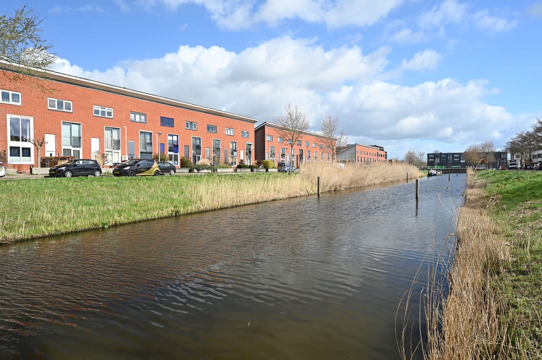 Foto 32 van Zwarte Specht 44