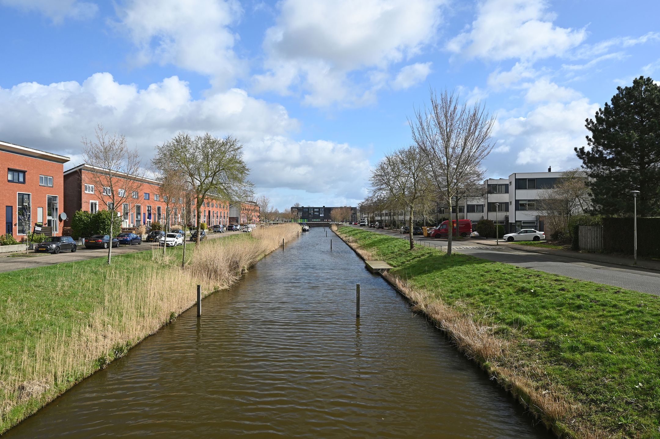 Foto 33 van Zwarte Specht 44