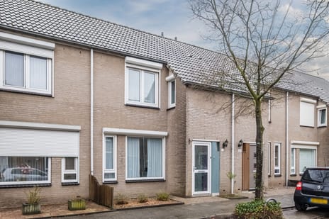 ter Borghstraat thumbnail