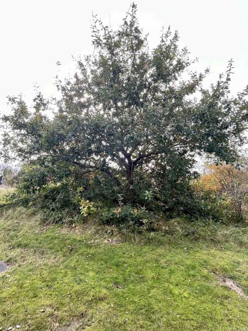 Foto 24 van Krimweg 538-H206