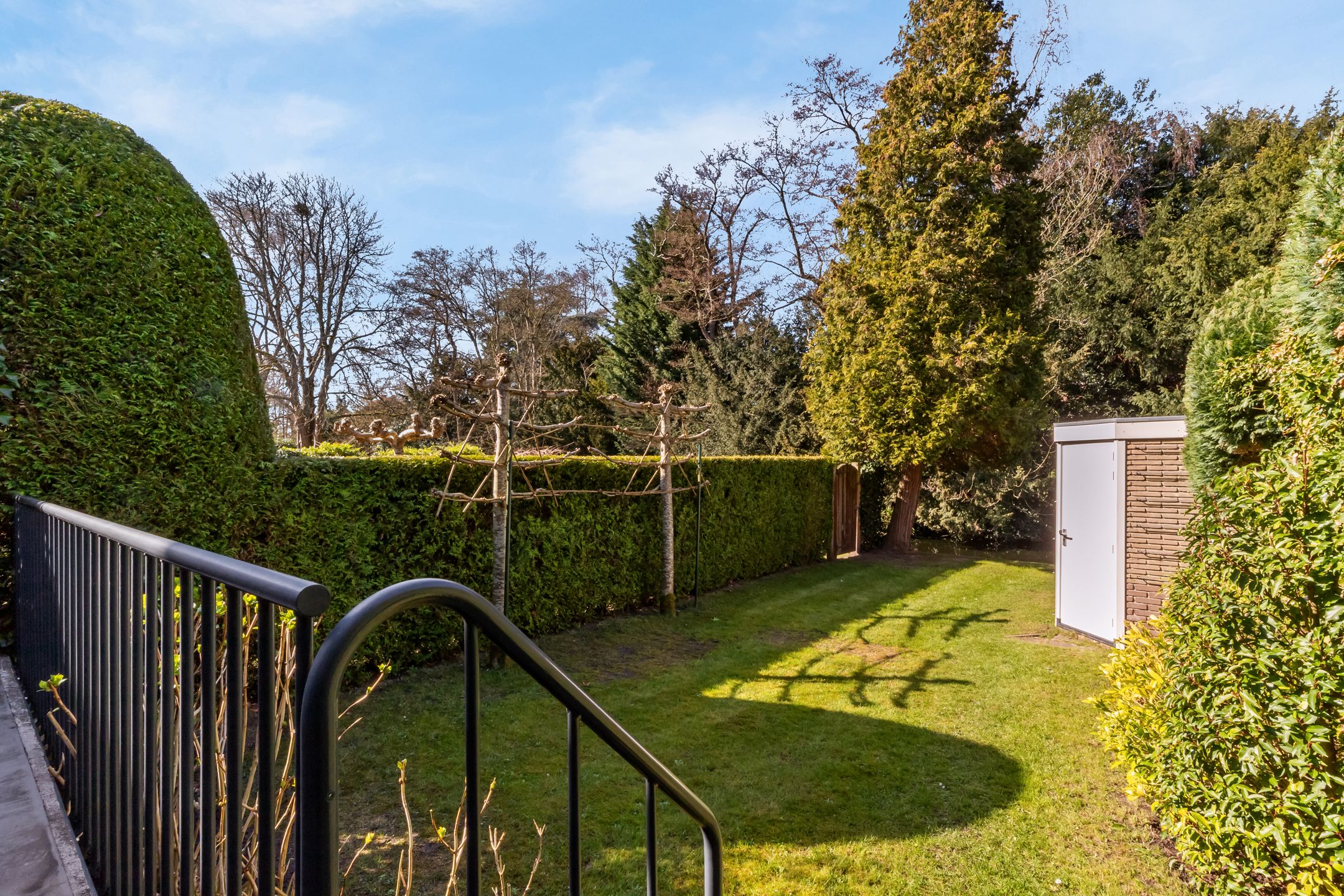 Foto 42 van van Ostadelaan 9