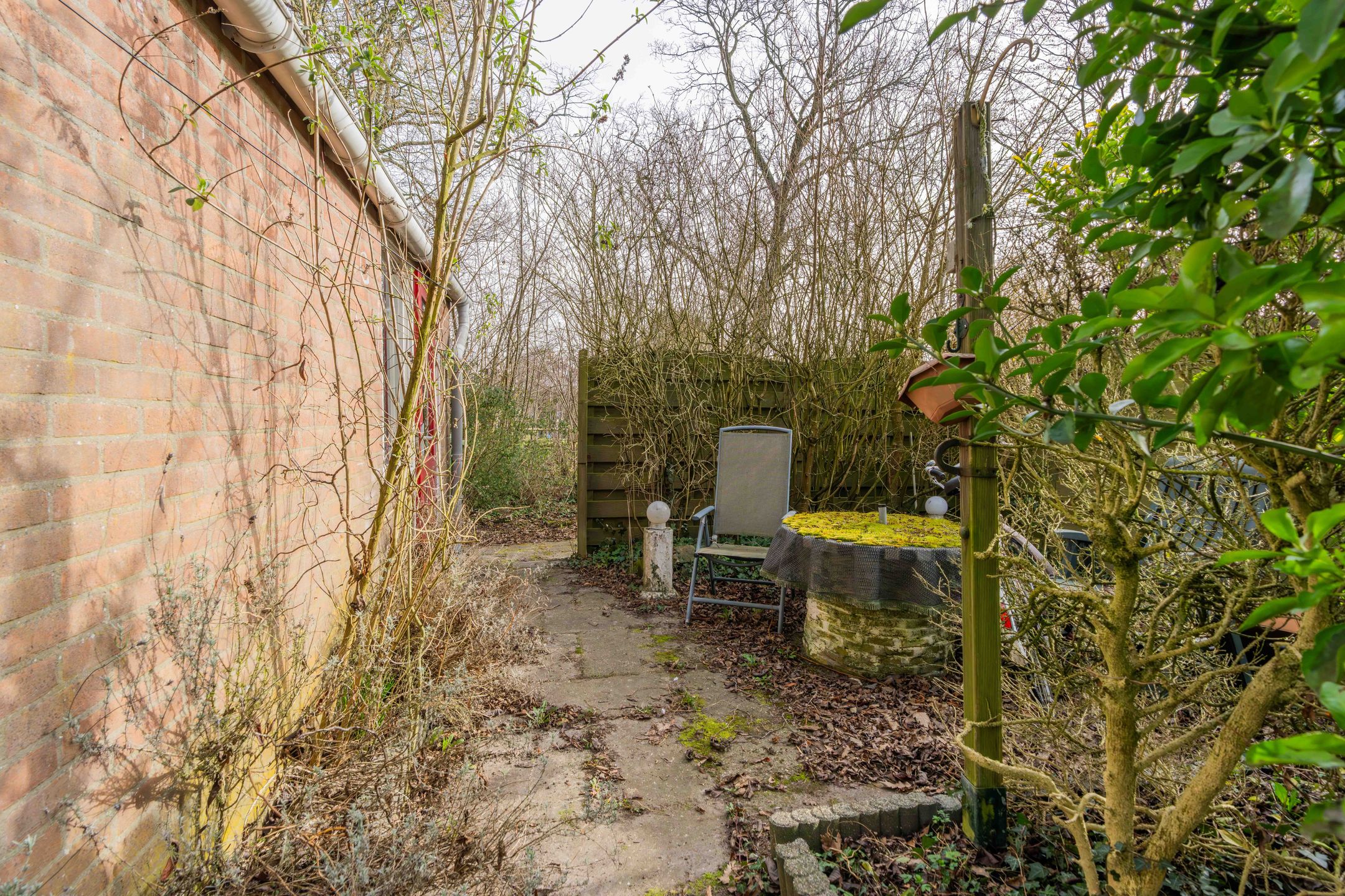 Foto 21 van Vijverbergstraat 9