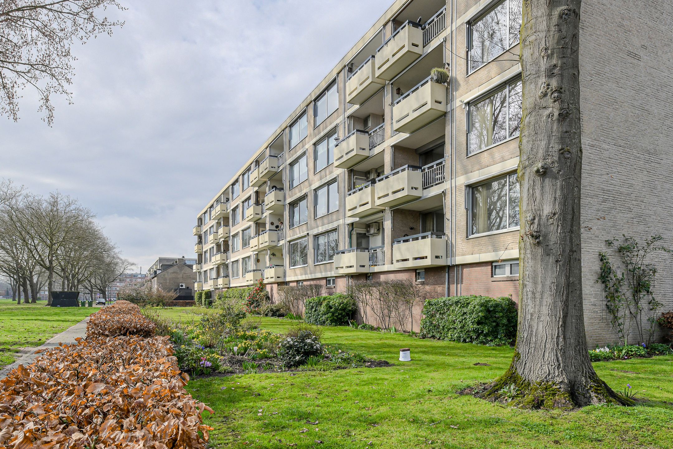 Foto 6 van Middachtenstraat 44-C