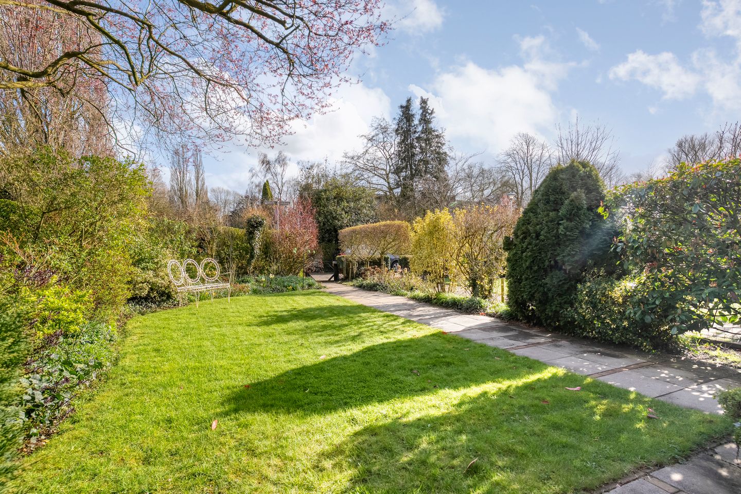 Foto 5 van Dr. Schaepmanlaan 58