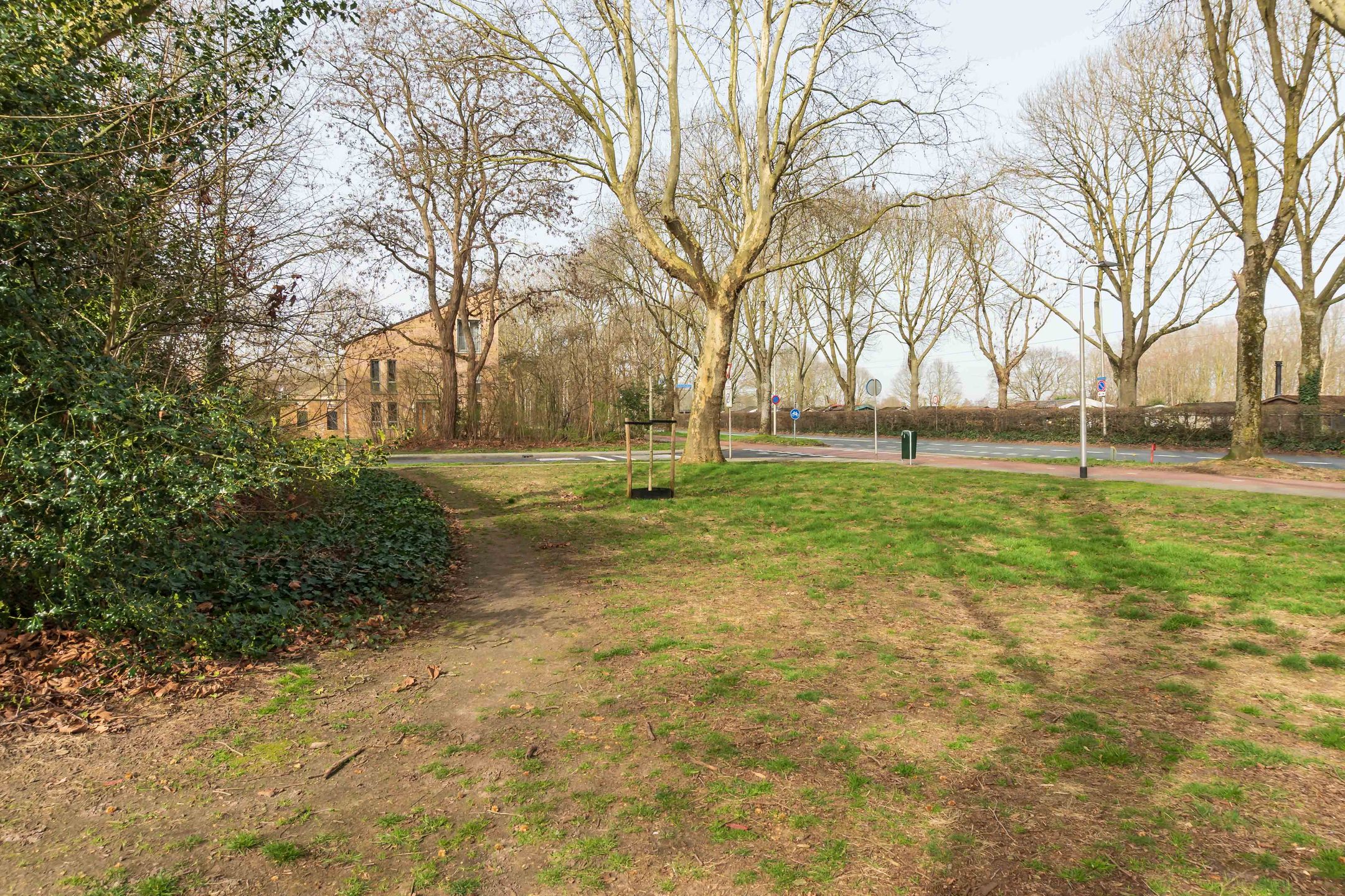 Photo 39 of Obrechtstraat 20