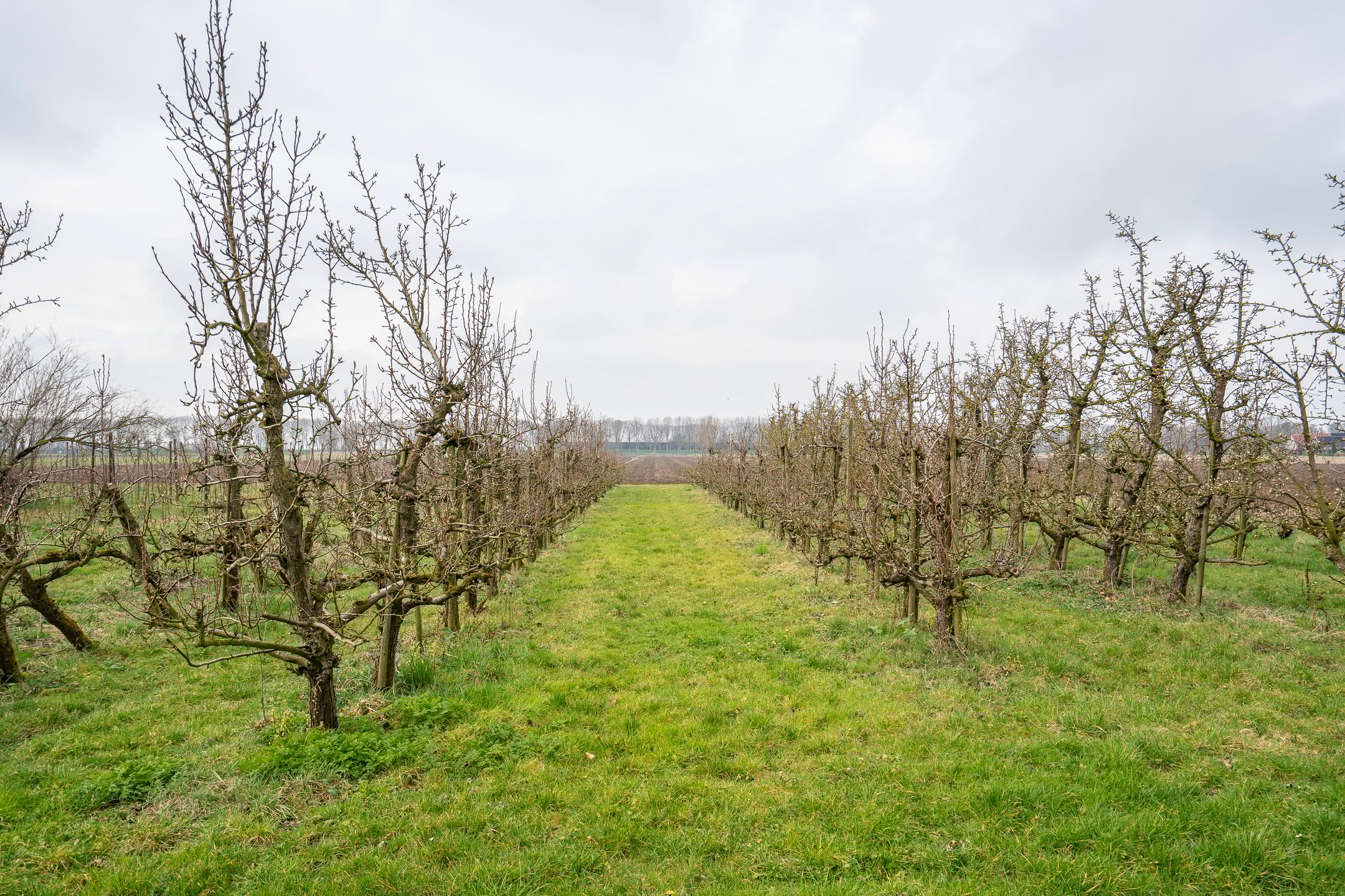 Foto 42 van Onderweg 12