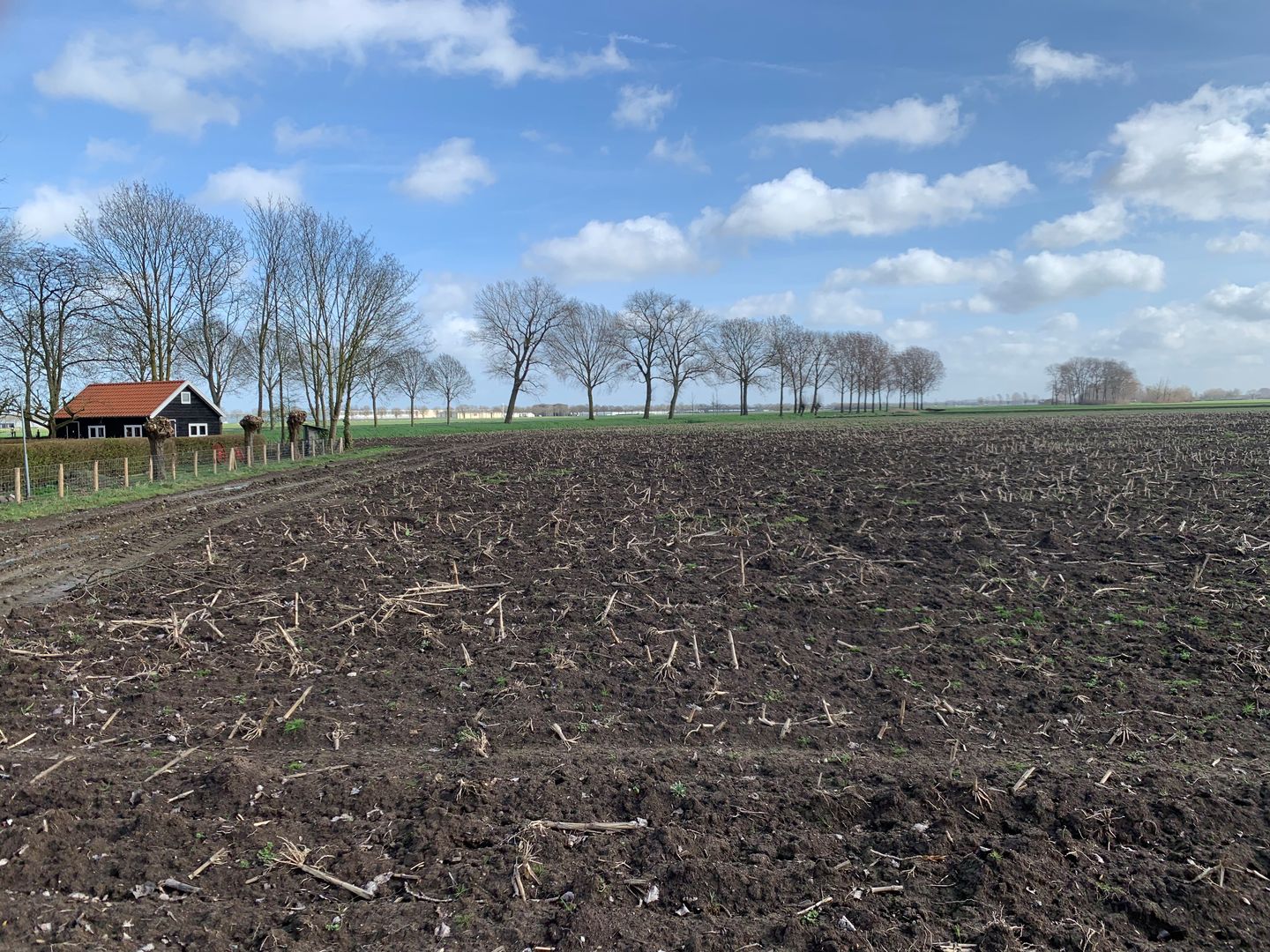 View photo 3 of Cultuurgrond Biesheuvelweg