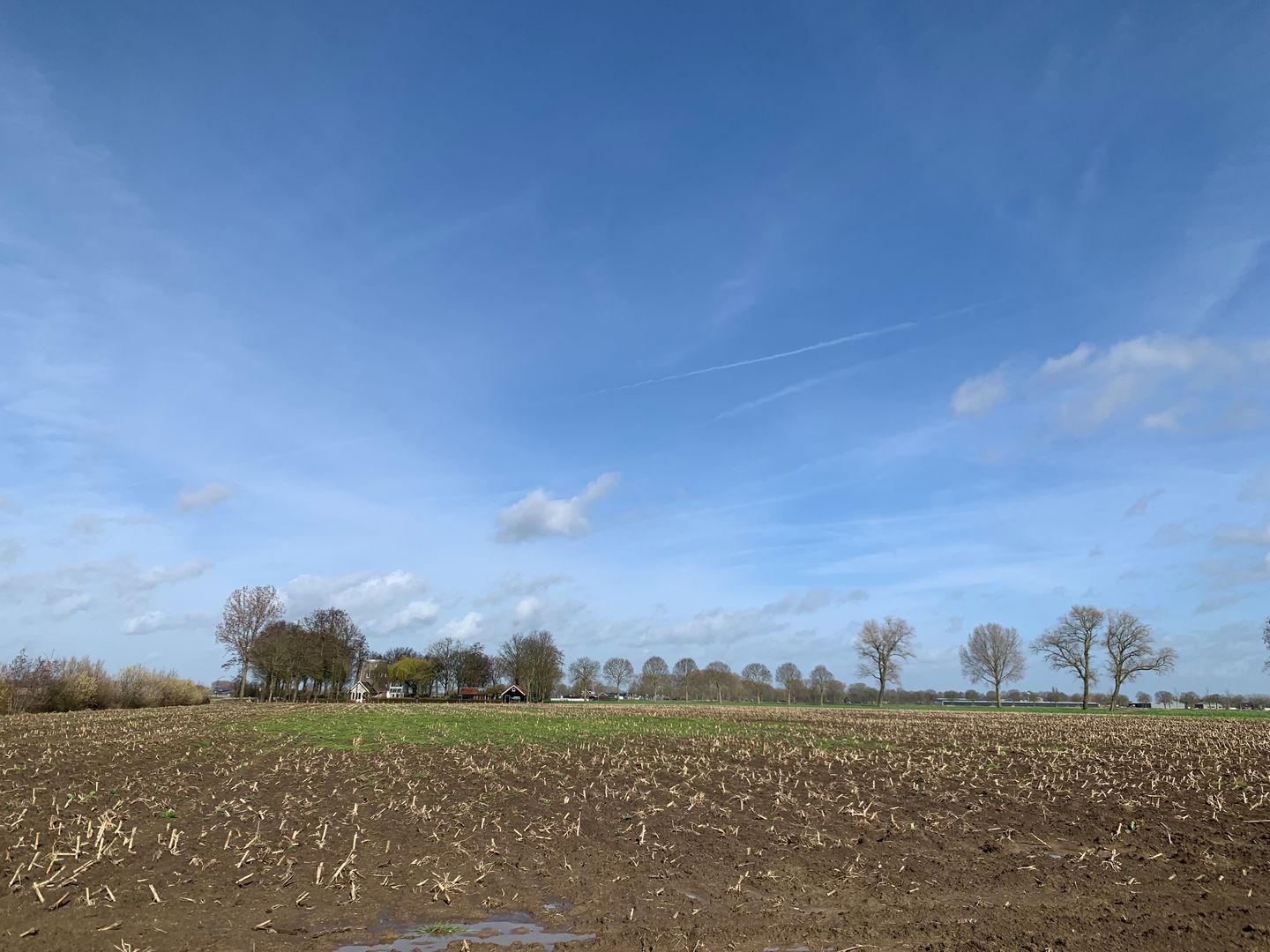 View photo 4 of Cultuurgrond Biesheuvelweg