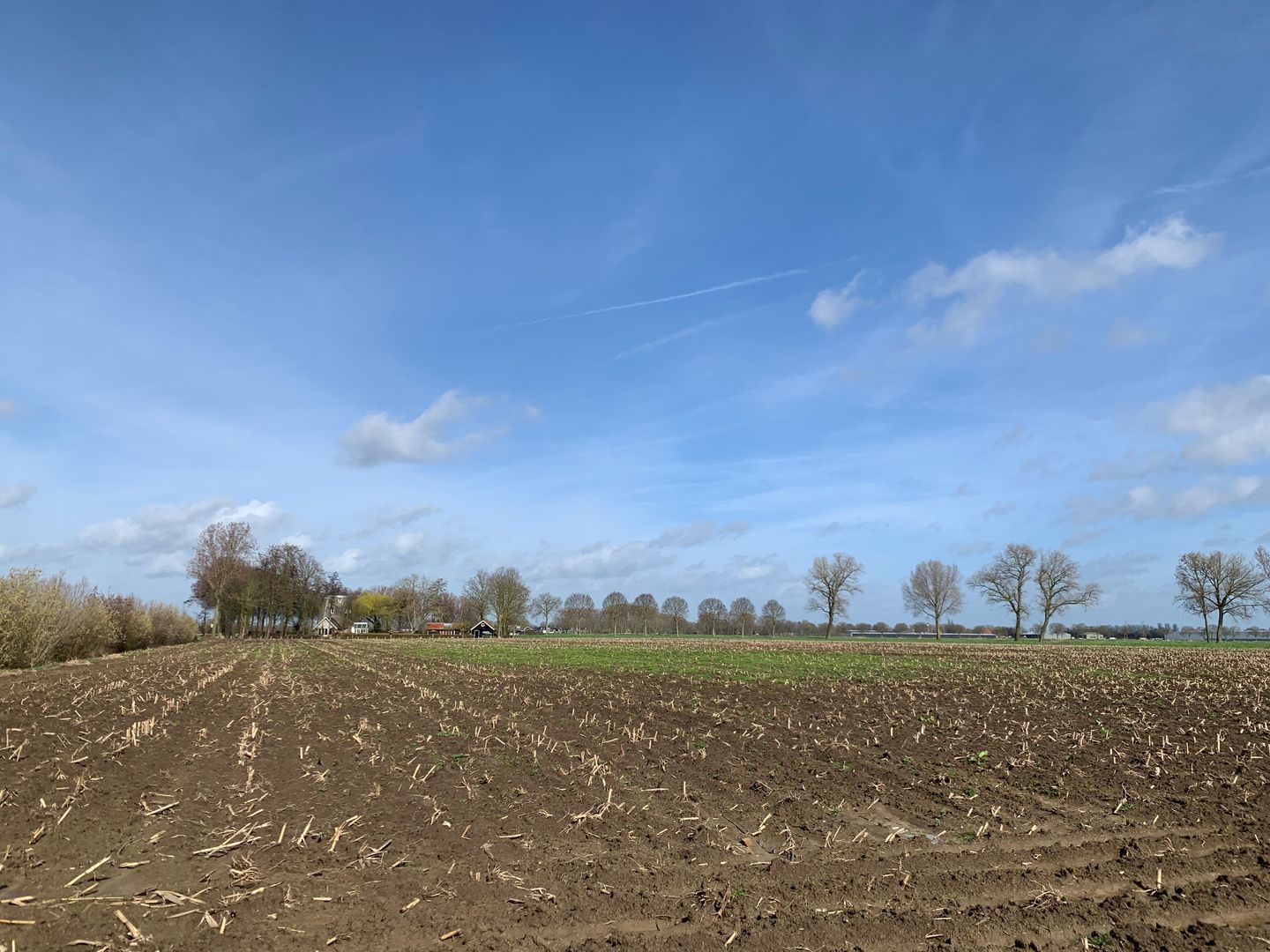 View photo 5 of Cultuurgrond Biesheuvelweg