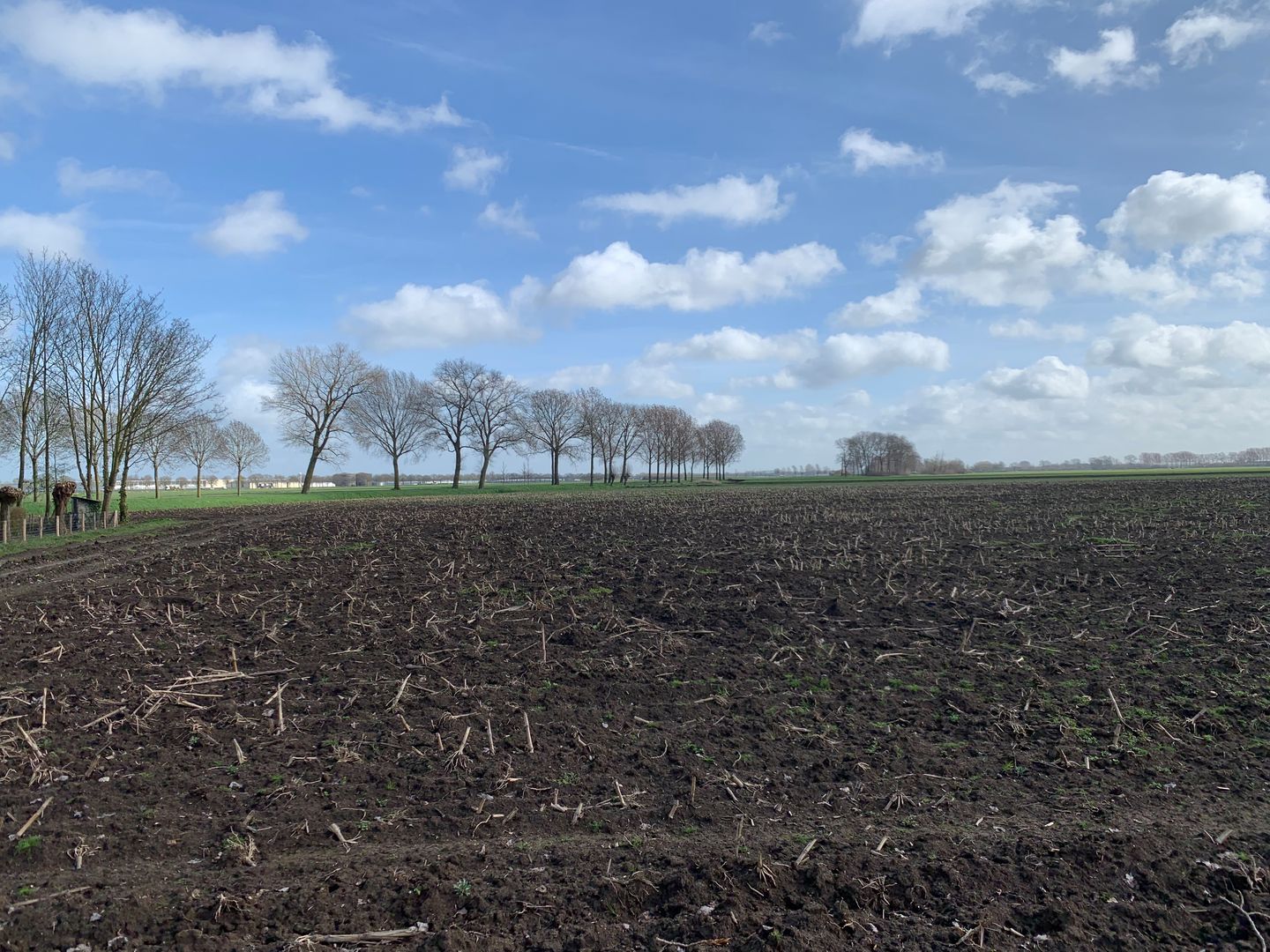 Cultuurgrond Biesheuvelweg - Wijk en Aalburg - Afbeelding 7