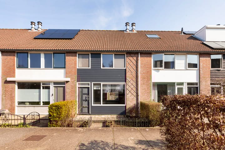 Kooipad 19 main image