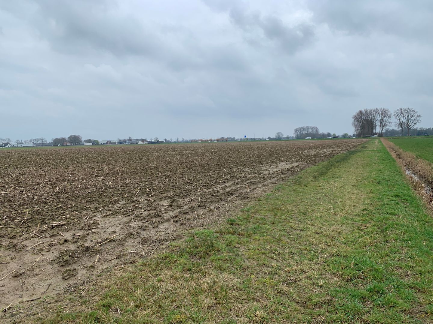 Bekijk foto 3 van Cultuurgrond Veensesteeg