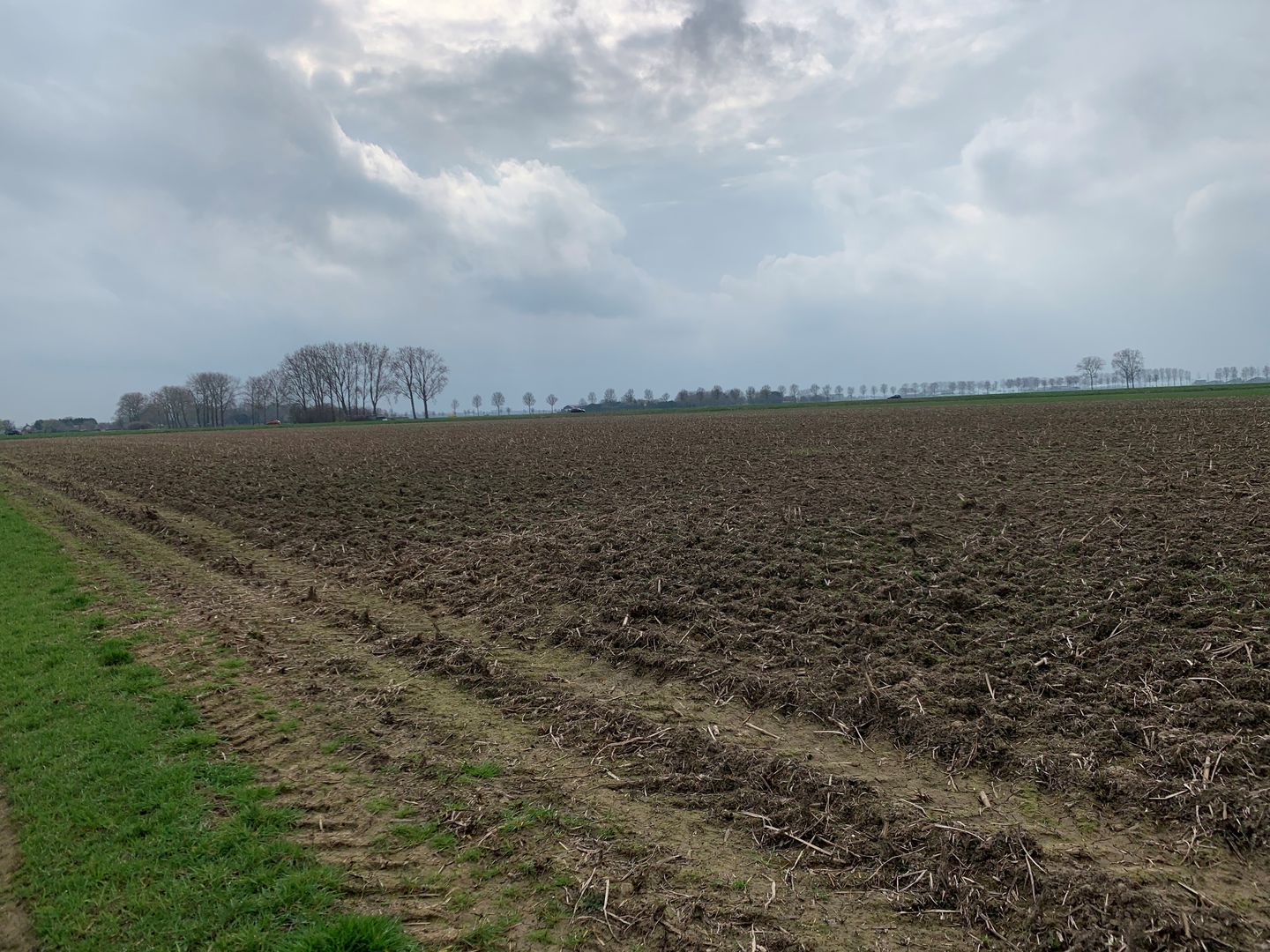 Bekijk foto 4 van Cultuurgrond Veensesteeg
