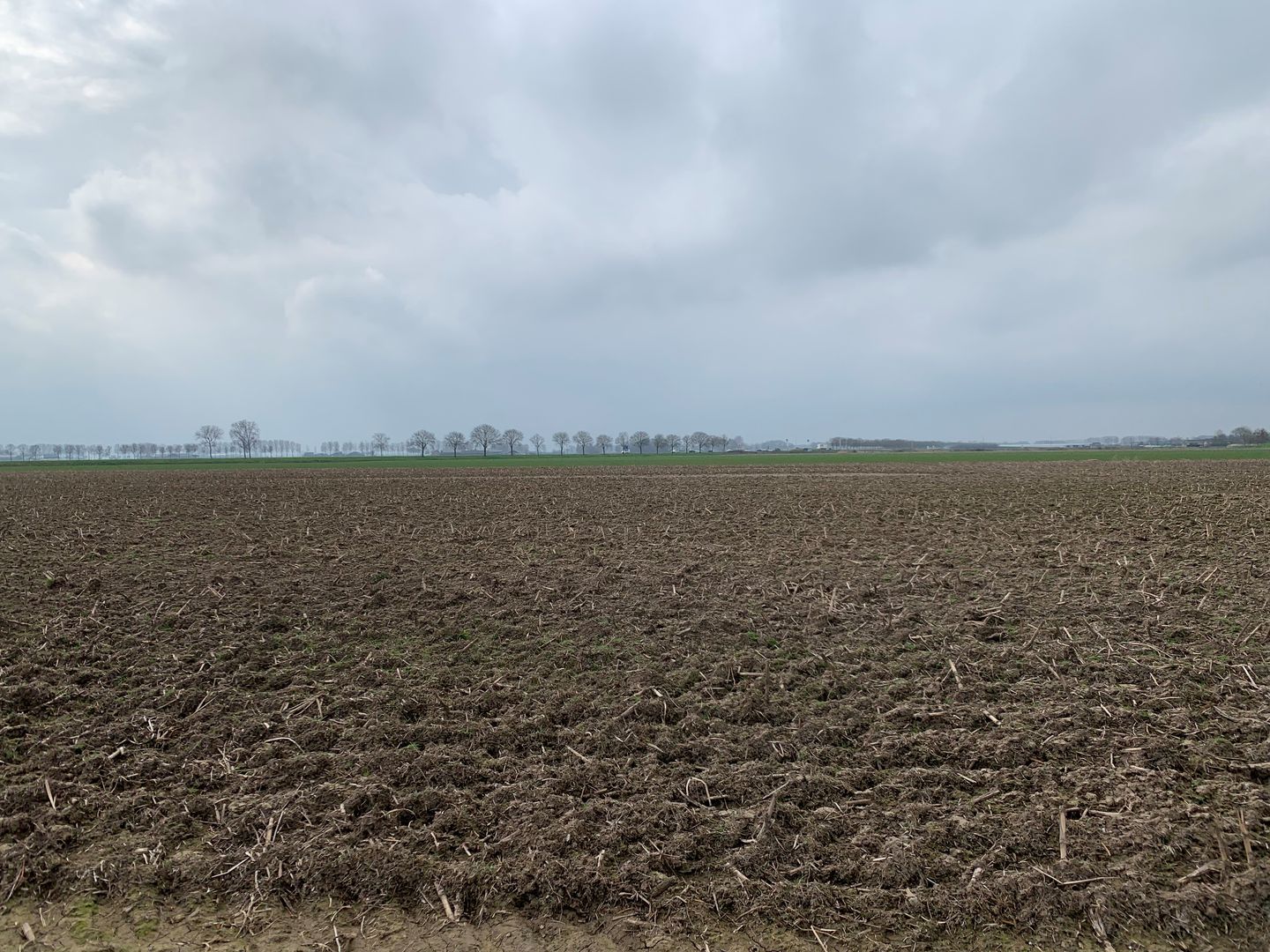 Bekijk foto 5 van Cultuurgrond Veensesteeg