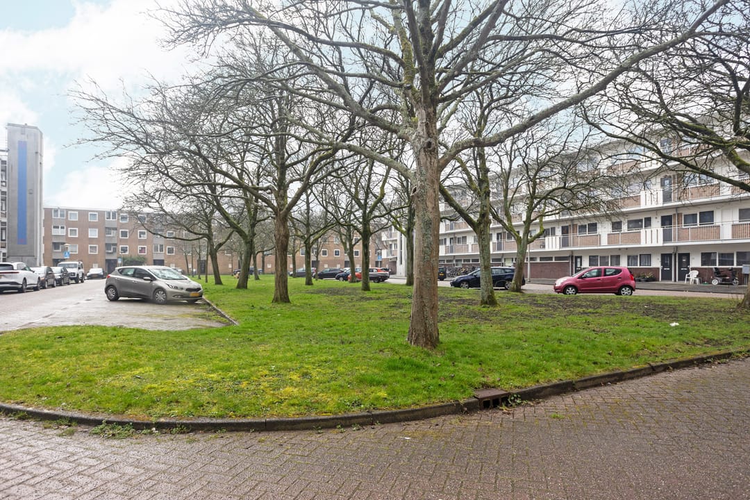 Foto 23 van Heringa-State 7