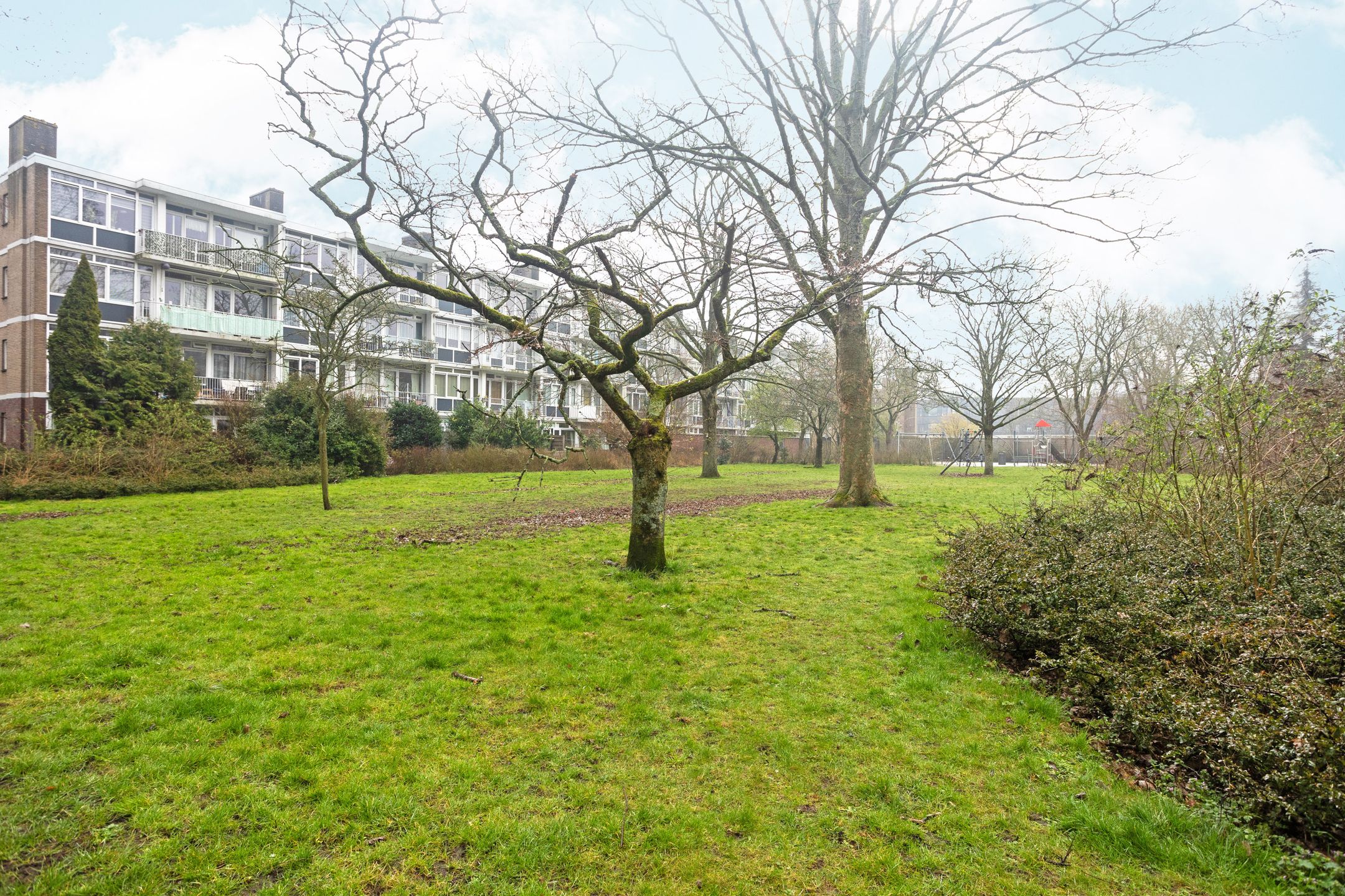 Foto 24 van Heringa-State 7