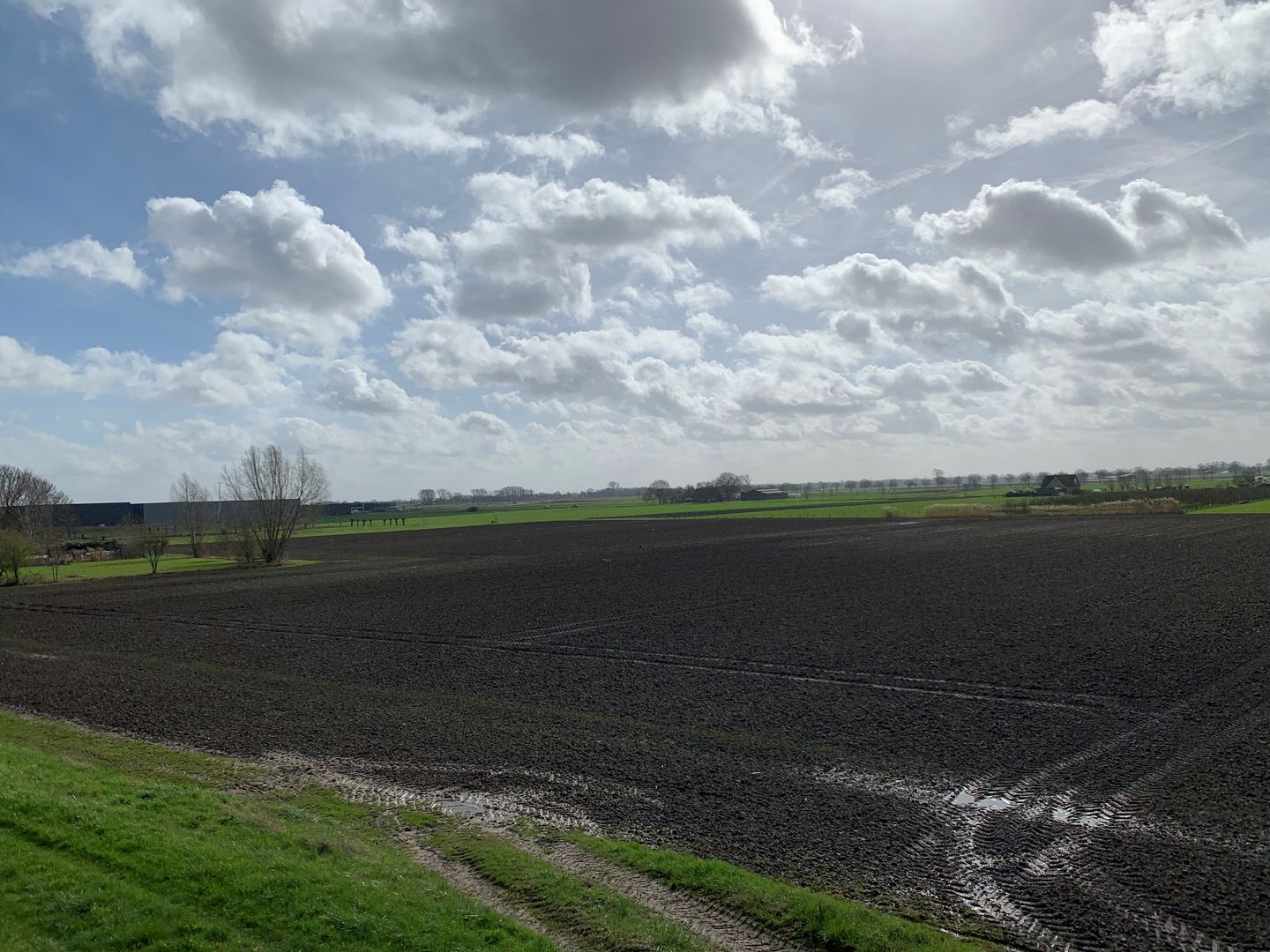Bekijk foto 4 van Cultuurgrond Hoge Maasdijk