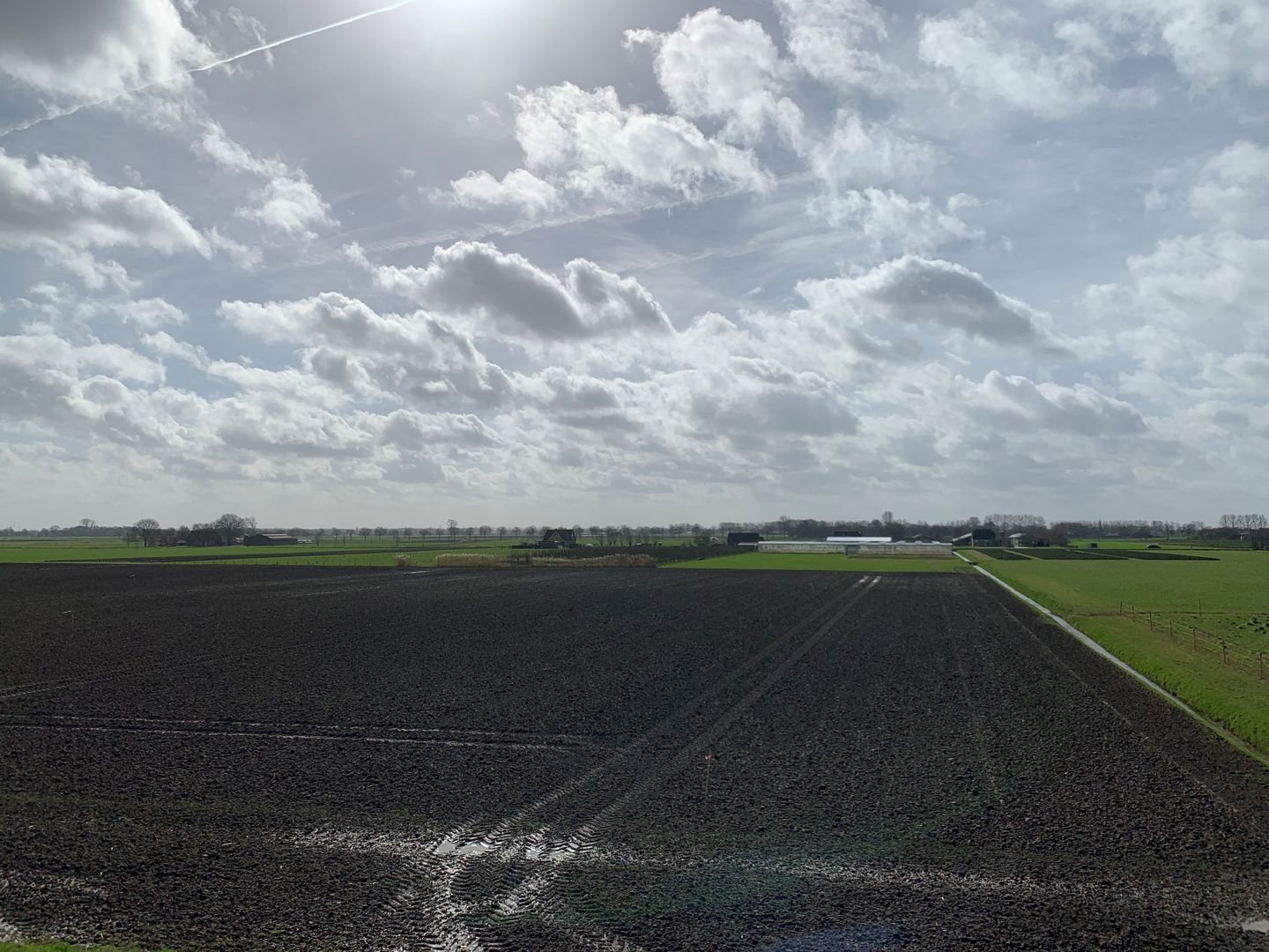 Bekijk foto 5 van Cultuurgrond Hoge Maasdijk