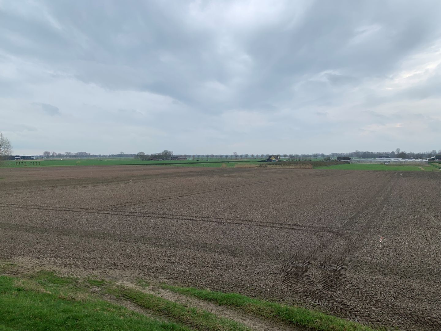 Cultuurgrond Hoge Maasdijk - Andel - Afbeelding 7