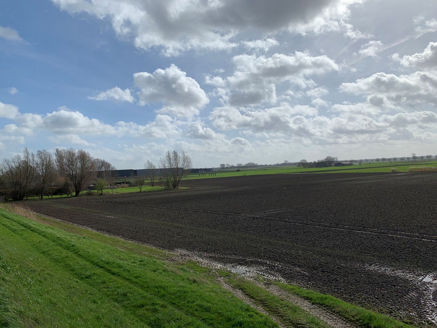 Bekijk foto 3 van Cultuurgrond Hoge Maasdijk