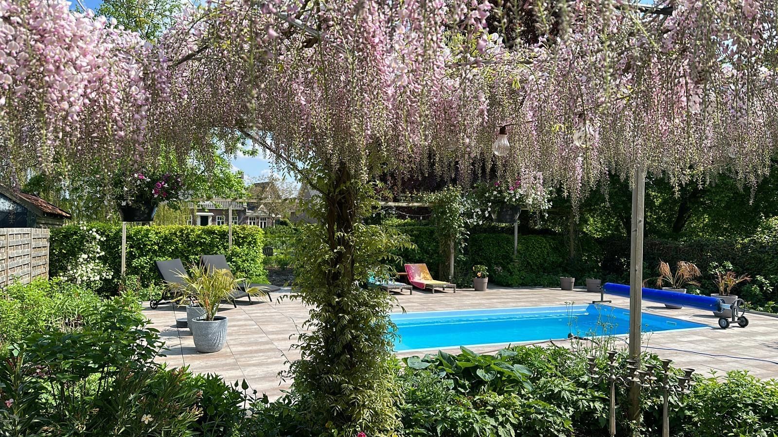 Spacious detached villa with swimming pool and multifunctional annexe in Geldermalsen — 46