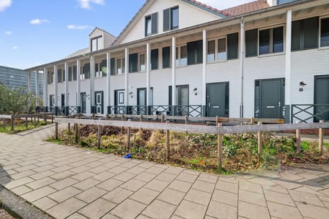 undefined main image